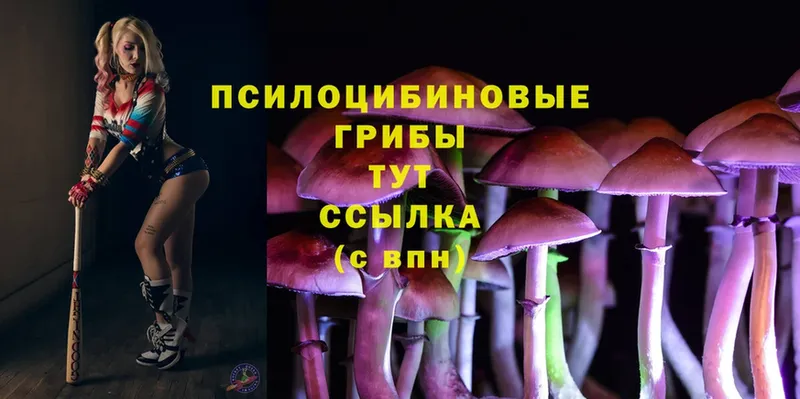 нарко площадка формула  Сертолово  Галлюциногенные грибы MAGIC MUSHROOMS  где можно купить наркотик  ссылка на мегу ONION 